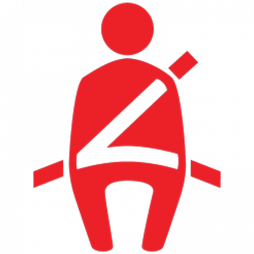 Rear Passengers' Seatbelt Reminder Lights